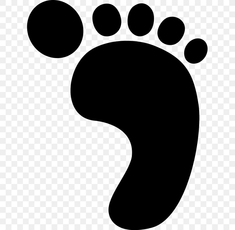 Footprint Clip Art, PNG, 631x800px, Footprint, Animal Track, Black, Black And White, Foot Download Free