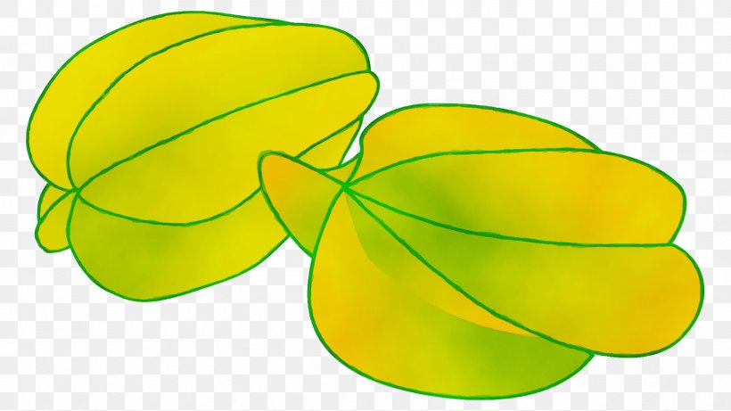 Green Leaf Background, PNG, 1600x900px, Leaf, Fruit, Green, Plant, Symbol Download Free