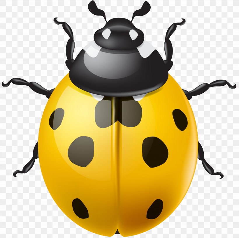 Ladybird Beetle Clip Art, PNG, 7000x6956px, Ladybird Beetle, Asian Lady Beetle, Beetle, Insect, Invertebrate Download Free
