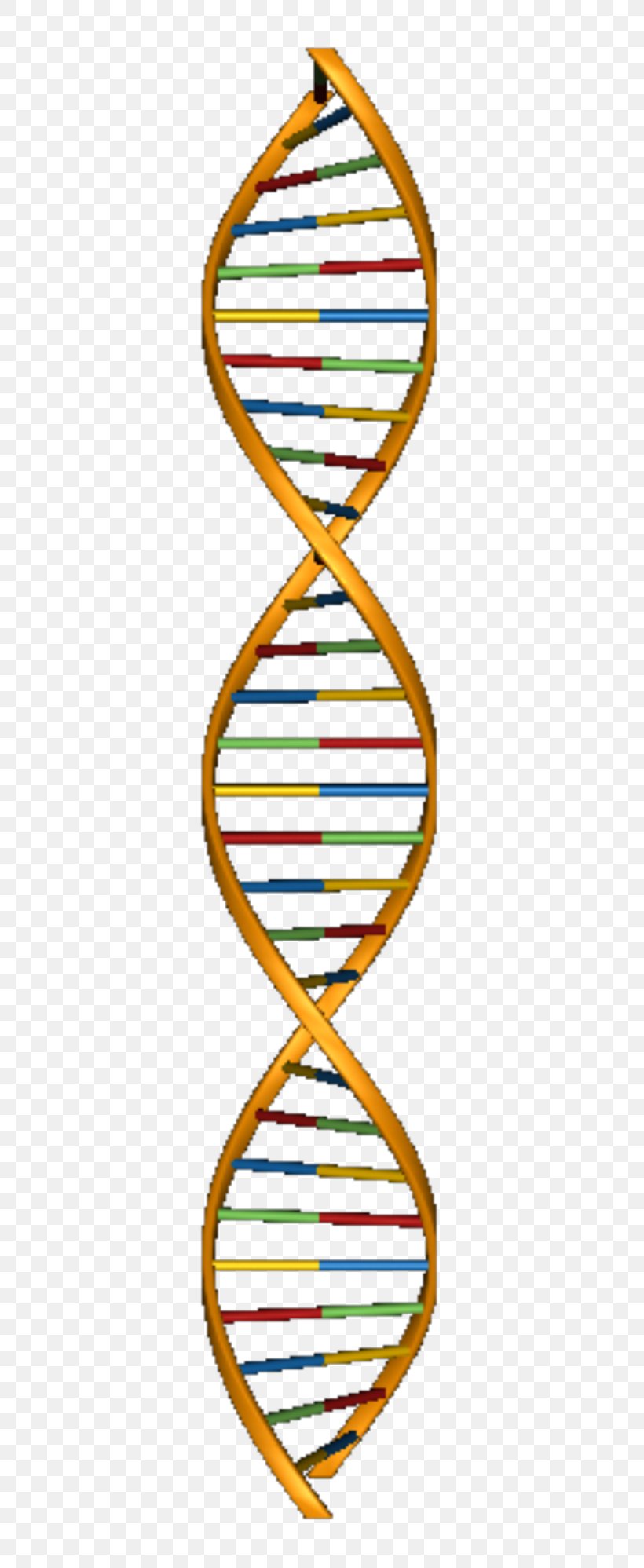 Molecular Models Of DNA Nucleic Acid Structure Nucleic Acid Double Helix  Clip Art, PNG, 420x1997px, Watercolor,