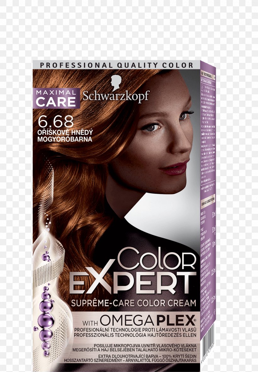 Schwarzkopf Hair Coloring Human Hair Color, PNG, 970x1400px, Schwarzkopf, Barva Na Vlasy, Blond, Brown Hair, Calendar Download Free