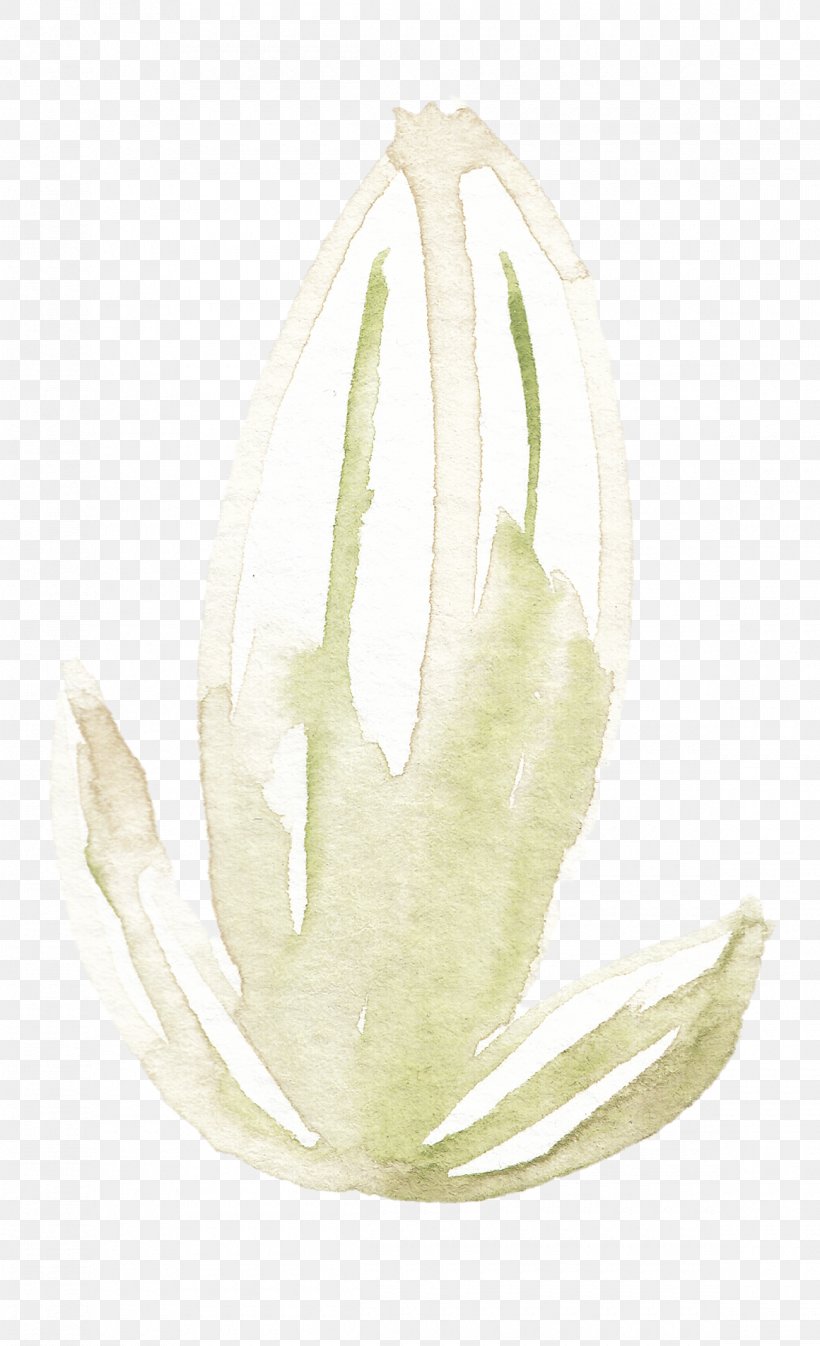 White Lilium Candidum Fleur-de-lis, PNG, 1160x1905px, Watercolor, Cartoon, Flower, Frame, Heart Download Free