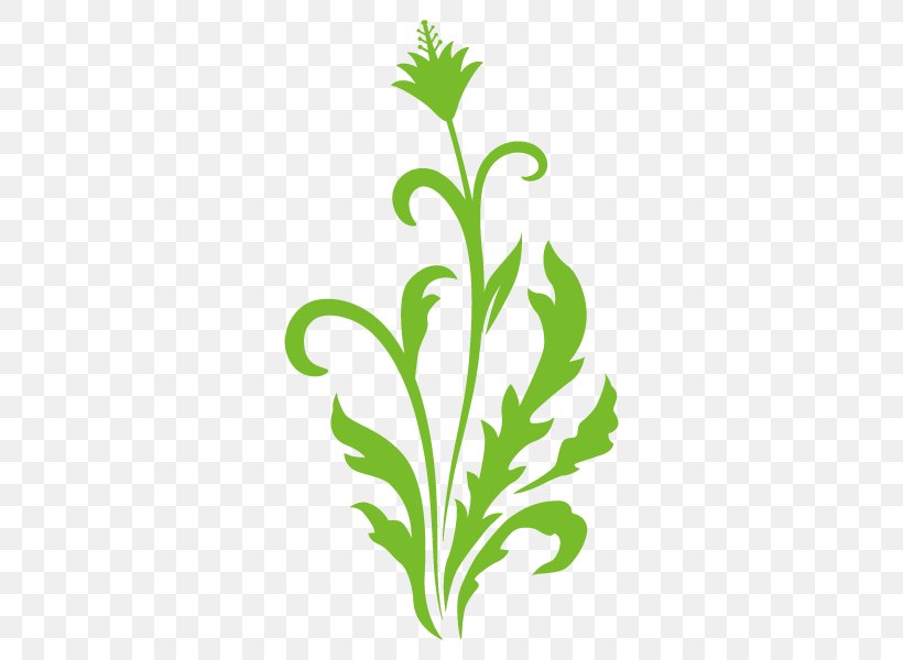 Illustration Grasses Plants Clip Art Flower, PNG, 600x600px, Grasses, Branch, Commodity, Family, Flora Download Free
