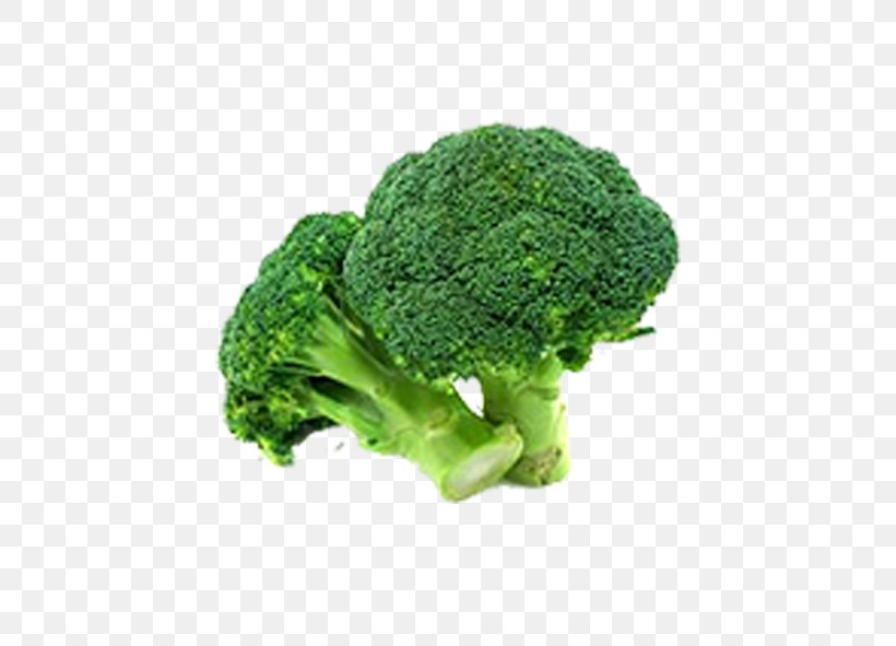 Broccoli Vegetable Food Variety, PNG, 591x591px, Broccoli, Broccoflower, Broccoli Sprouts, Cauliflower, Cooking Download Free