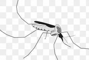Mosquito Brief - Mosquito Swim Briefs PNG