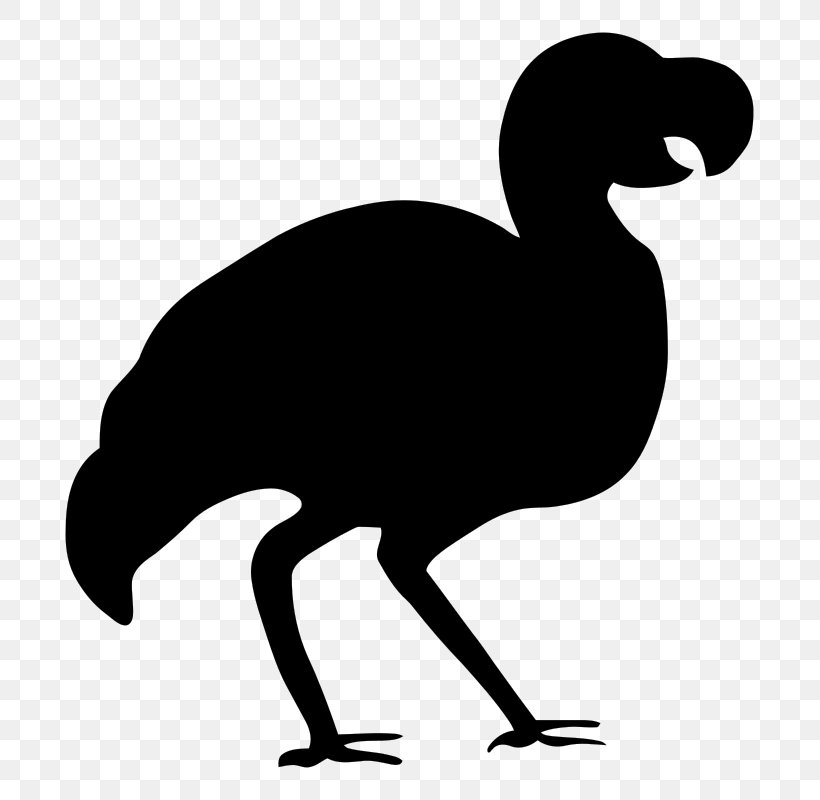 Bird Dodo Silhouette Clip Art, PNG, 753x800px, Bird, Beak, Black And White, Chicken, Digital Image Download Free