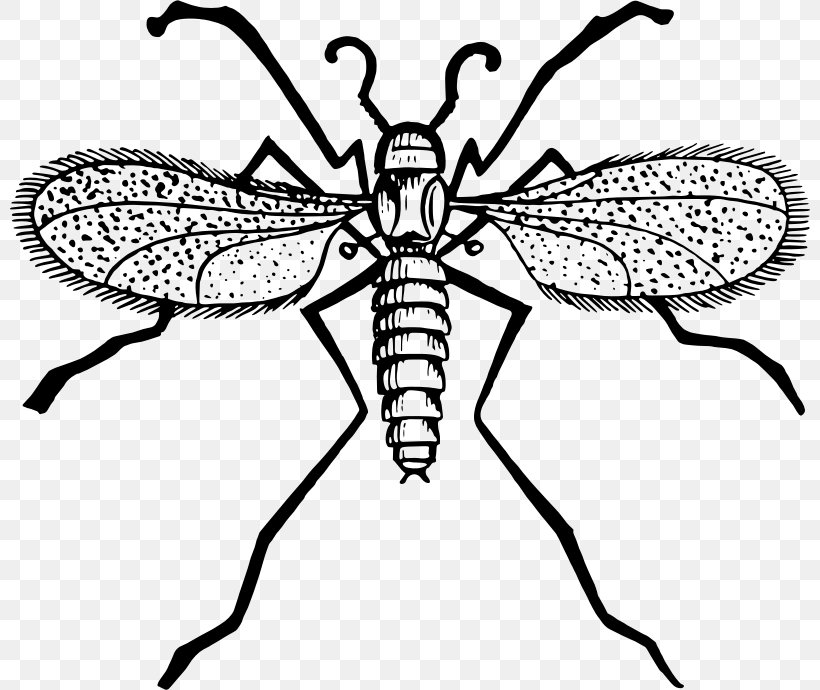 Fly Mosquito Gnat Clip Art, PNG, 800x690px, Fly, Arthropod, Artwork, Black And White, Cartoon Download Free