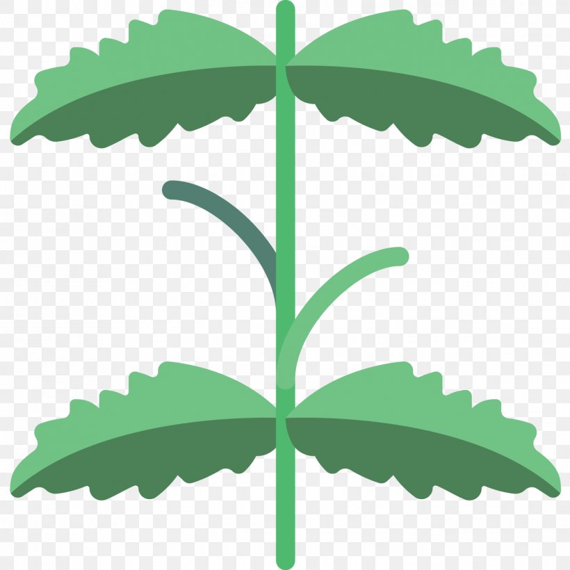 Mint Leaf, PNG, 1422x1422px, Mint, Flower, Food, Gums, Health Download Free