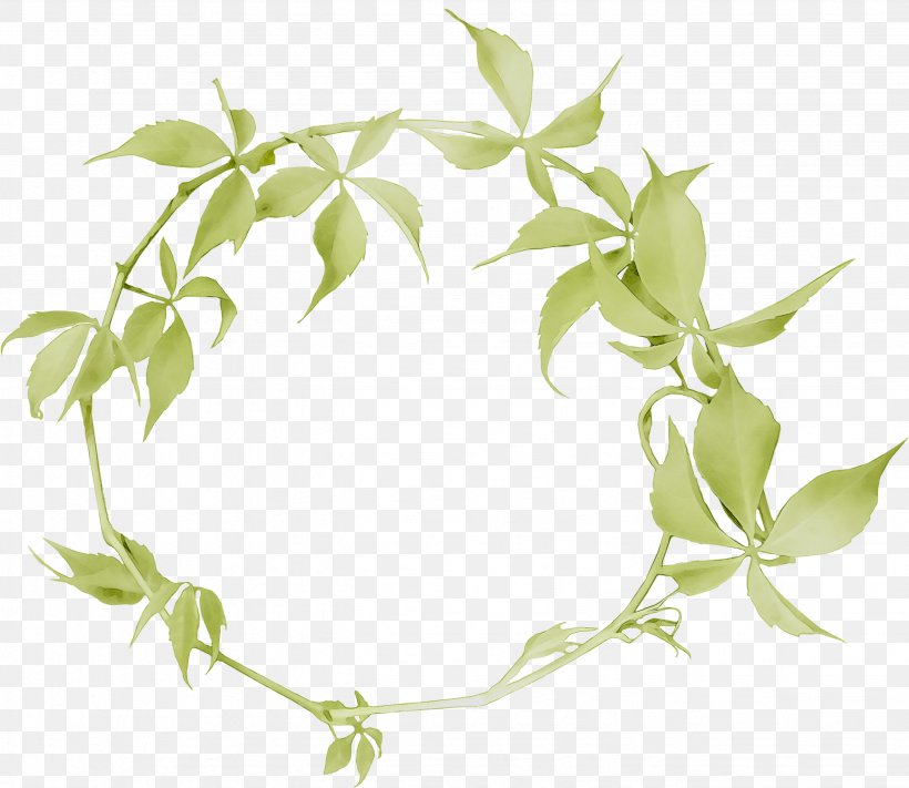 Product Flower Plant Stem Leaf, PNG, 2657x2306px, Flower, Ivy, Ivy Family, Leaf, Plant Download Free