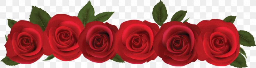 Rose Flower Clip Art, PNG, 1024x274px, Rose, Cut Flowers, Display Resolution, Floral Design, Floristry Download Free