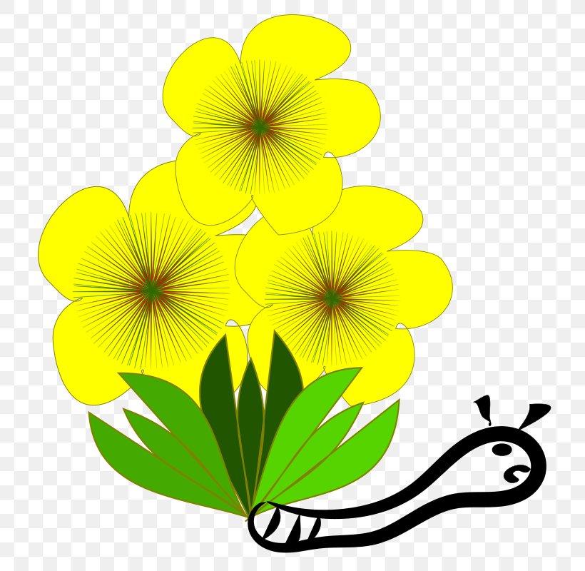 Yellow Clip Art, PNG, 800x800px, Yellow, Flora, Flower, Flowering Plant, Green Download Free