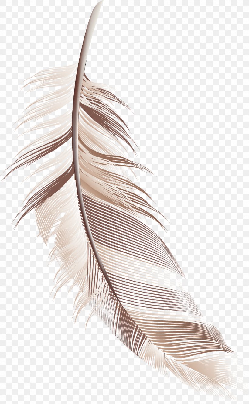 Feather, PNG, 992x1610px, Feather, Animation, Bird, Cartoon, Material Download Free