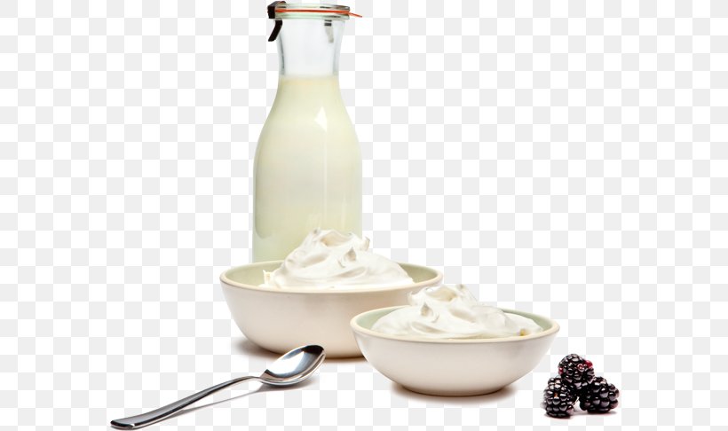 Goat Milk Icelandic Cuisine Skyr Yoghurt, PNG, 576x486px, Milk, Cream, Dairy, Dairy Product, Dairy Products Download Free