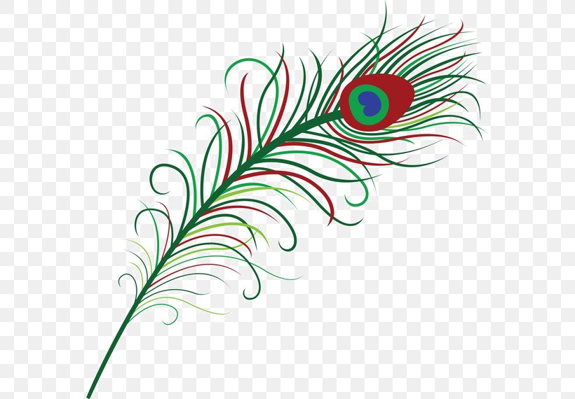 Vector Graphics Feather Clip Art Image, PNG, 573x570px, Feather, Artwork, Flora, Flower, Flowering Plant Download Free