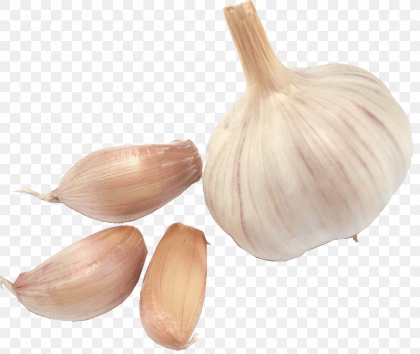 Garlic Satsivi Gajar Ka Halwa Vegetable, PNG, 1000x843px, Garlic, Commodity, Diallyl Disulfide, Dish, Elephant Garlic Download Free