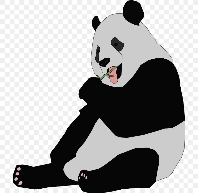 Giant Panda Bear Cuteness Free Content Clip Art, PNG, 714x800px, Giant Panda, Bear, Black, Black And White, Blog Download Free