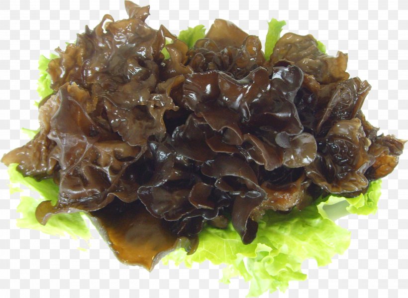 Sichuan Wood Ear Food Eating Fungus, PNG, 2916x2129px, Sichuan, Animal Source Foods, Boletus Aereus, Cloud Ear Fungus, Dish Download Free