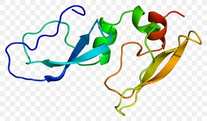 Alpha-1-microglobulin/bikunin Precursor Beta-2 Microglobulin Protein Inter-alpha-trypsin Inhibitor, PNG, 1018x594px, Watercolor, Cartoon, Flower, Frame, Heart Download Free