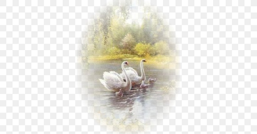 Bird Mute Swan Cygnini Art Painting, PNG, 329x428px, Watercolor, Cartoon, Flower, Frame, Heart Download Free