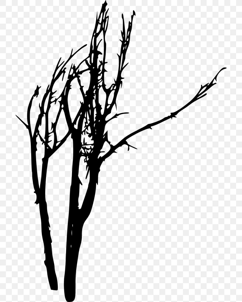 Twig Silhouette Black And White, PNG, 716x1024px, Twig, Art, Black And White, Branch, Drawing Download Free