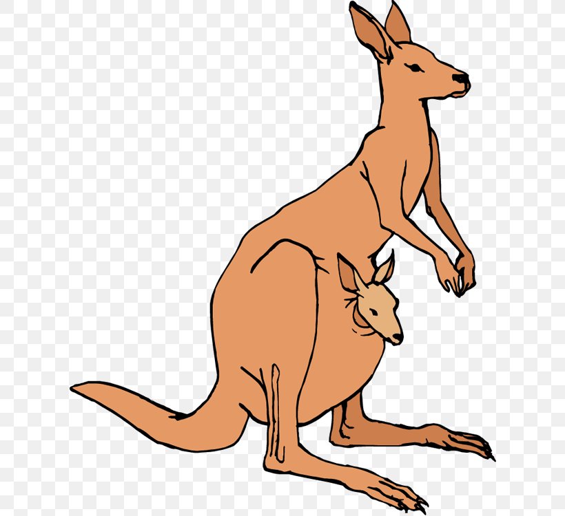 Australia Kangaroo Clip Art, PNG, 620x750px, Australia, Animal Figure, Blog, Carnivoran, Dog Breed Download Free