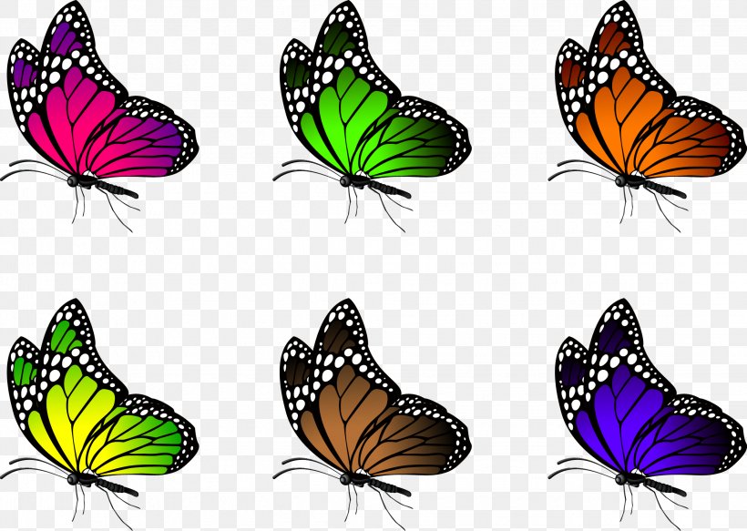 Butterfly Illustration, PNG, 2244x1598px, Butterfly, Arthropod, Brush Footed Butterfly, Cartoon, Flower Download Free