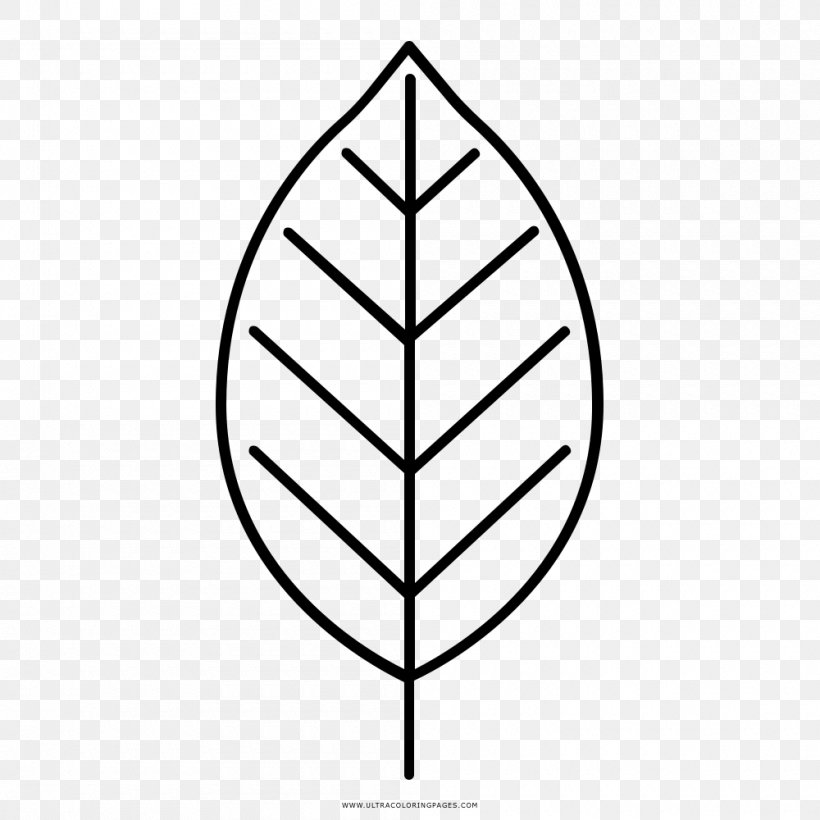 Leaf Drawing Coloring Book Black And White, PNG, 1000x1000px, Leaf, Area, Black And White, Bloom Energy, Coloring Book Download Free
