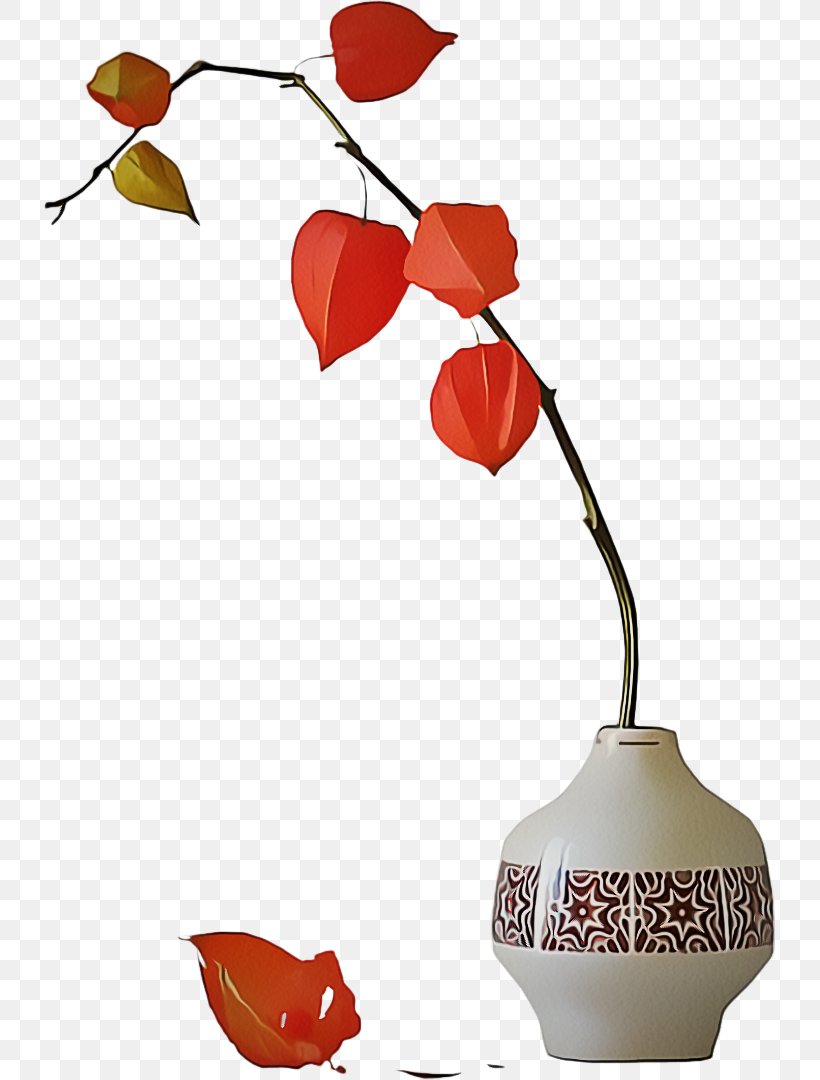 Leaf Plant Tree Vase Flower, PNG, 731x1080px, Leaf, Flower, Lamp, Plant, Still Life Photography Download Free
