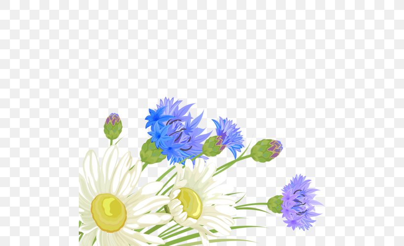 Blue Cut Flowers Chrysanthemum Floral Design, PNG, 500x500px, Blue, Annual Plant, Aster, Blue Flower, Blue Rose Download Free