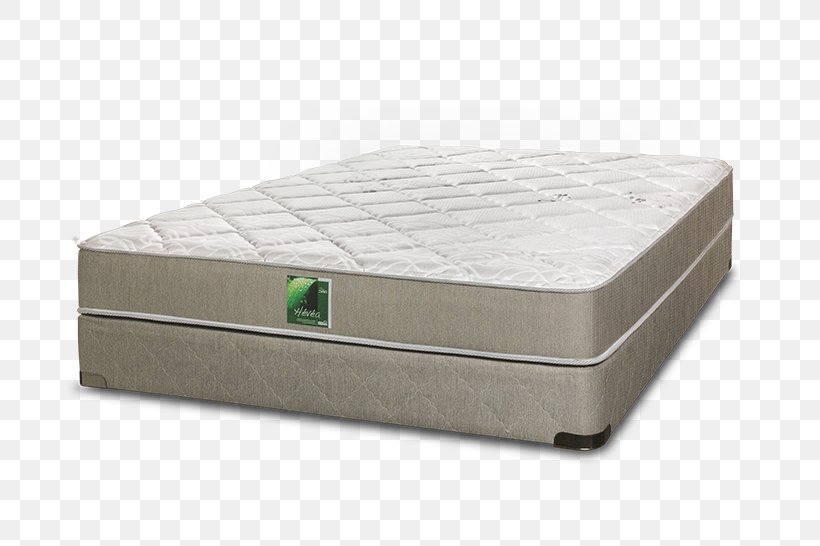 futon mattress on box spring