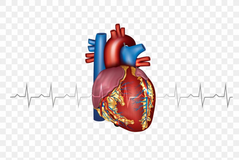 Myocardial Infarction Heart Cardiovascular Disease Artery, PNG, 1706x1141px, Watercolor, Cartoon, Flower, Frame, Heart Download Free