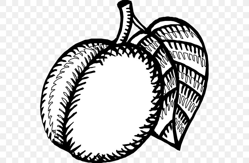 Nectarine Black And White Drawing Coloring Book Clip Art, PNG, 555x538px, Nectarine, Apricot, Artwork, Black And White, Cartoon Download Free