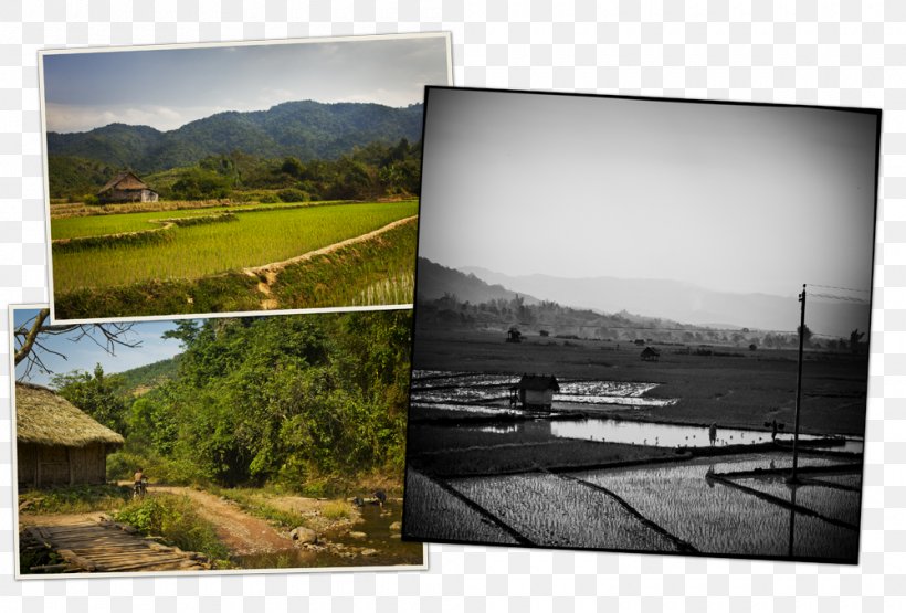 Reservoir Land Lot Picture Frames Photography Water Resources, PNG, 1000x678px, Reservoir, Lake, Land Lot, Landscape, Photography Download Free