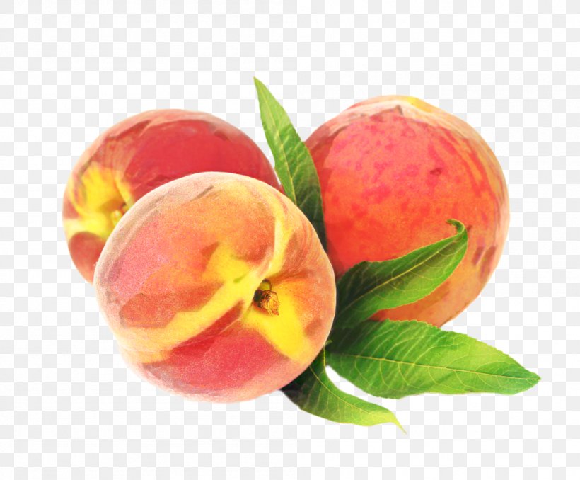 Watercolor Flower Background, PNG, 999x827px, Peach, Clausena Lansium, Dietary Fiber, European Plum, Flower Download Free