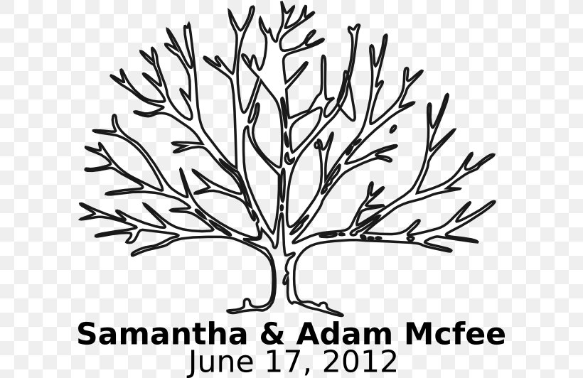 Coloring Book Tree Child Clip Art, PNG, 600x532px, Coloring Book, Adult, Artwork, Black And White, Branch Download Free