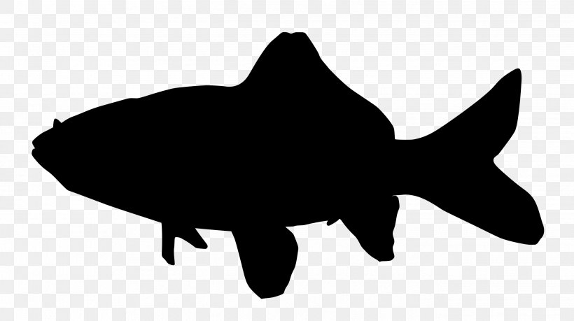 Common Goldfish Silhouette Clip Art, PNG, 2644x1480px, Common Goldfish, Black, Black And White, Fauna, Fish Download Free