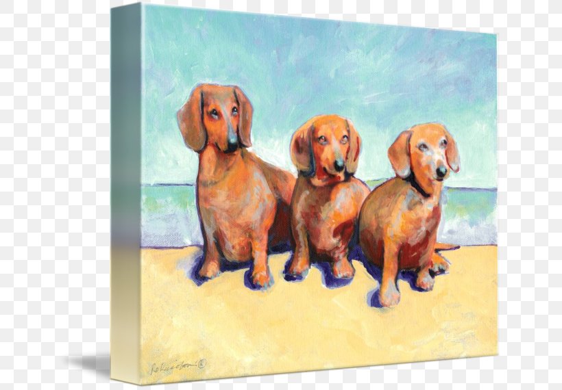 Dachshund Puppy Dog Breed Companion Dog Painting, PNG, 650x570px, Dachshund, Art, Breed, Carnivoran, Companion Dog Download Free