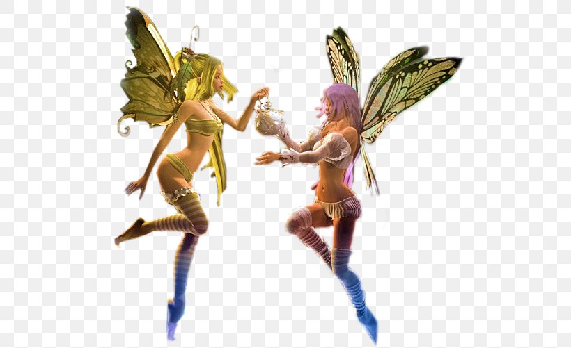 Fairy Elf Angel Magic Fantasy, PNG, 529x501px, Fairy, Angel, Cult Image, Duende, Elf Download Free