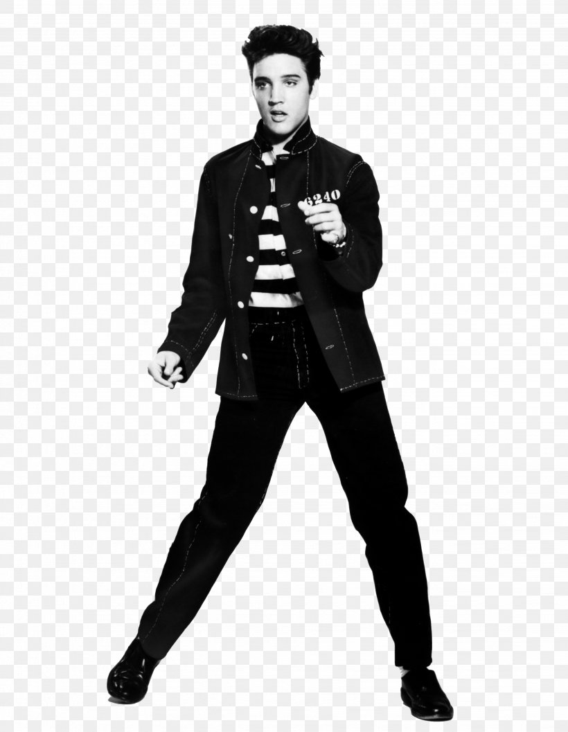 Elvis Presley : Jailhouse Rock Rock And Roll Elvis Presley, PNG, 2673x3448px, Watercolor, Cartoon, Flower, Frame, Heart Download Free