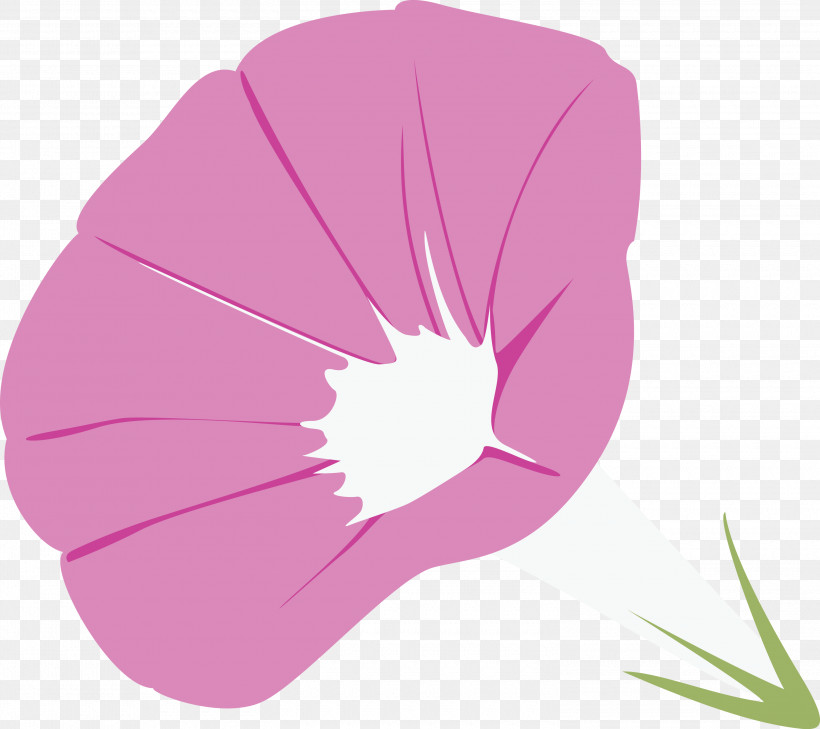 Morning Glory Flower, PNG, 3000x2668px, Morning Glory Flower, Evening Primrose Family, Flower, Herbaceous Plant, Leaf Download Free