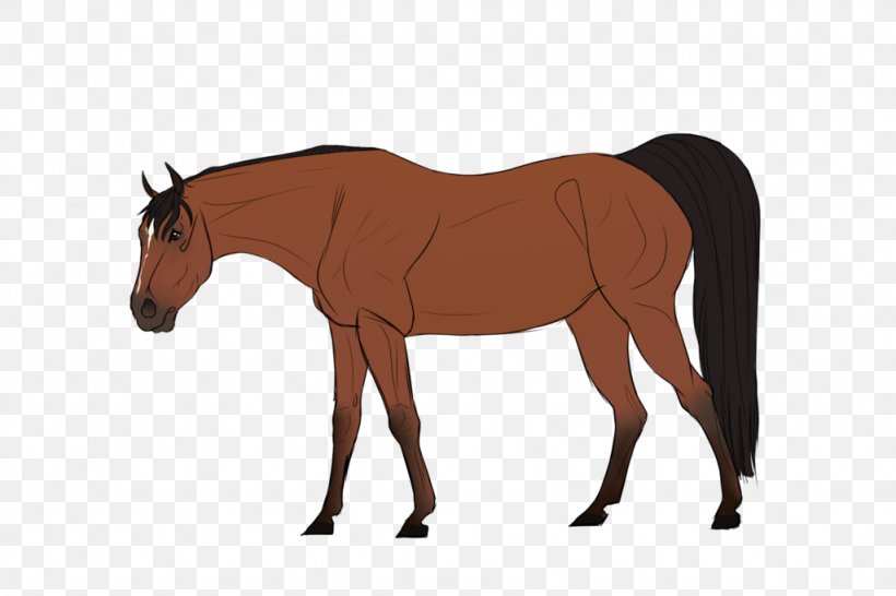 Mule Foal Stallion Mare Colt, PNG, 1024x683px, Mule, Bridle, Colt, Foal, Halter Download Free