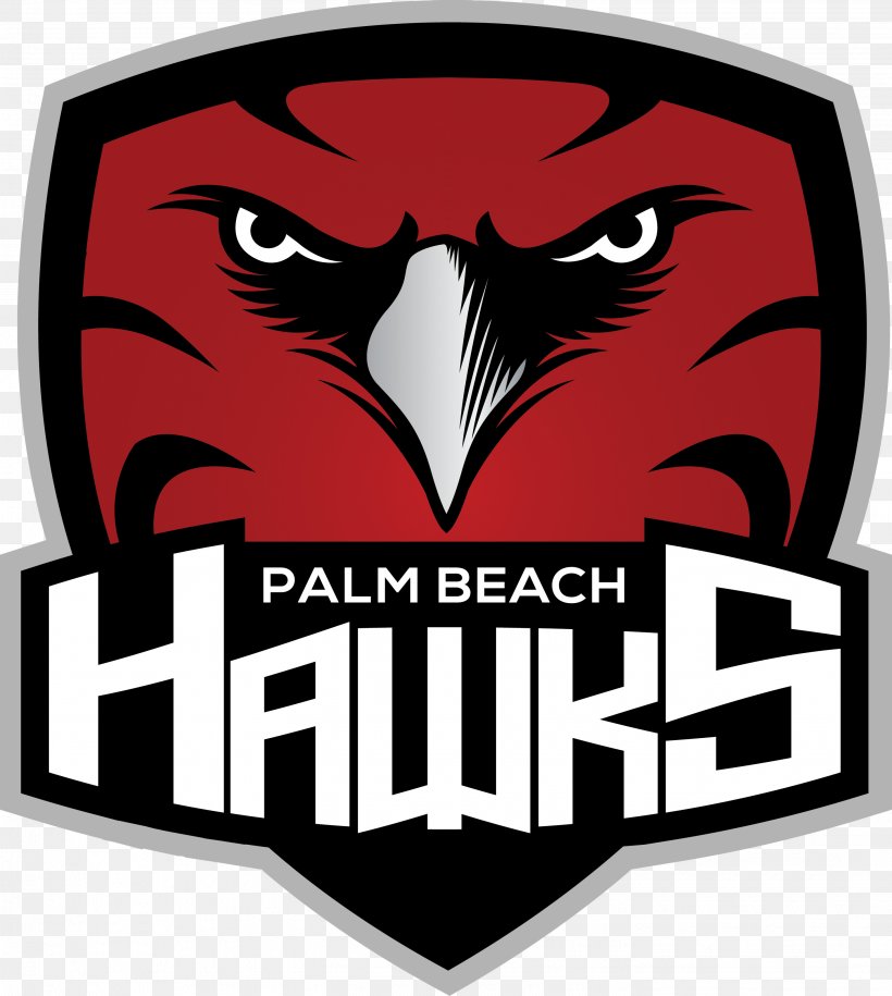 Palm Beach Hawks Atlanta Hawks Logo Ice Hockey, PNG, 2837x3166px, Palm Beach Hawks, Atlanta Hawks, Bird, Bird Of Prey, Brand Download Free