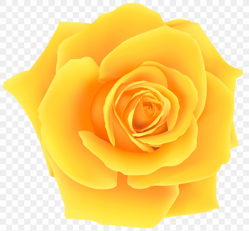 Rose Yellow Clip Art, PNG, 8000x7426px, Yellow, Cut Flowers, Flower, Flowering Plant, Garden Roses Download Free