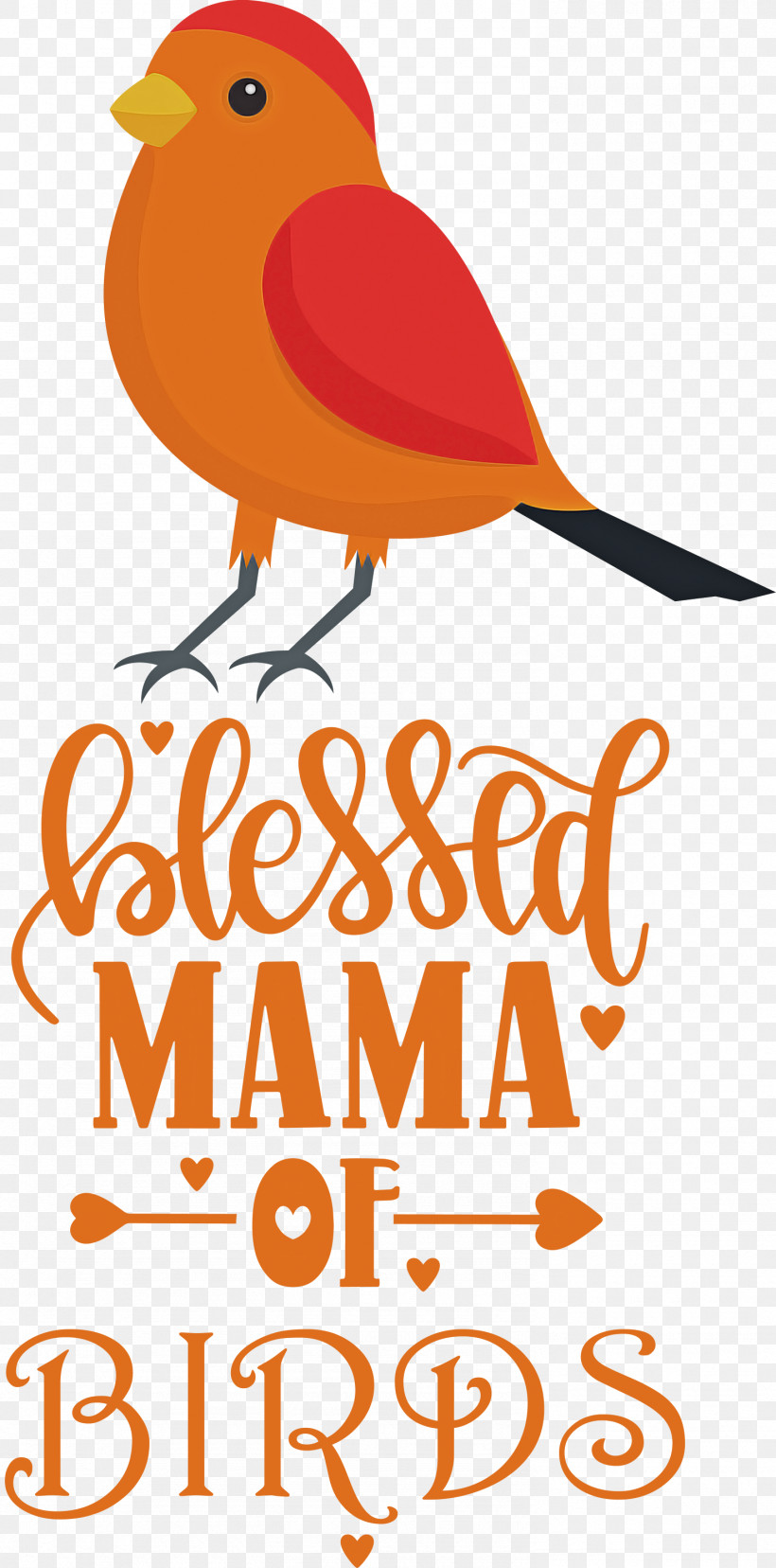 Bird Birds Blessed Mama Of Birds, PNG, 1485x2999px, Bird, Beak, Biology, Birds, Geometry Download Free
