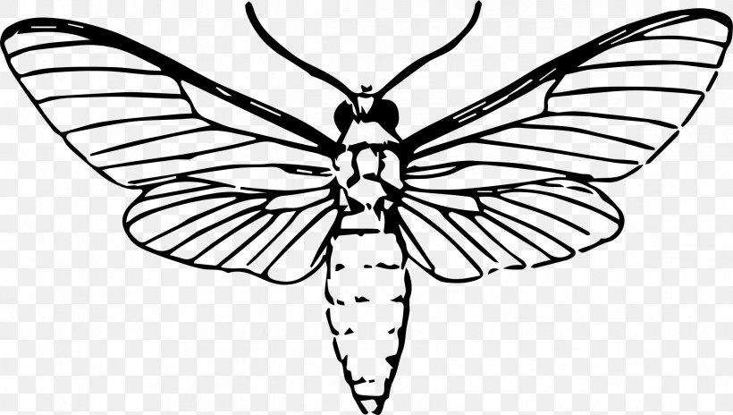 Butterfly Insect Moth Drawing, PNG, 2338x1323px, Butterfly, Art, Arthropod, Artwork, Black And White Download Free