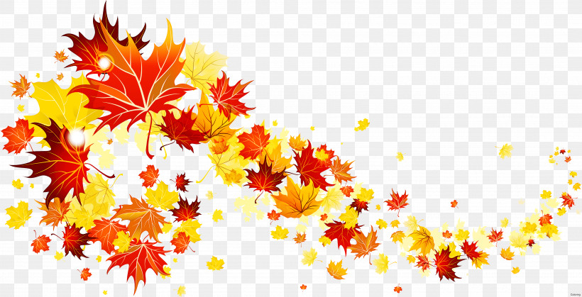 Maple Leaf, PNG, 3742x1915px, Leaf, Autumn, Flower, Maple, Maple Leaf Download Free
