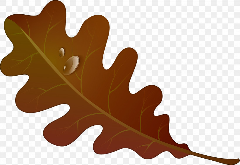Maple Leaf, PNG, 3000x2063px, Leaf, Autumn Leaf Color, Drawing, Green, Leaflet Download Free