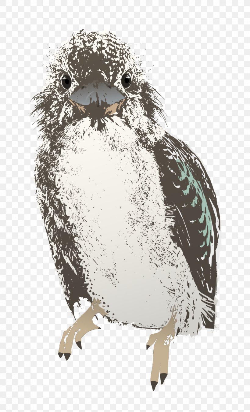 Owl Bird Kookaburra Clip Art, PNG, 913x1500px, Owl, Australia, Australians, Beak, Bird Download Free