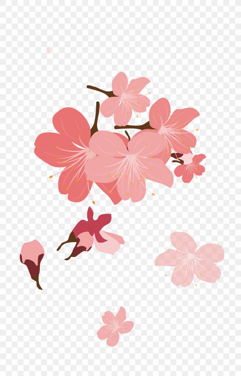 Cherry Blossom Petal Cerasus, PNG, 1279x1993px, Cherry Blossom, Blossom, Branch, Cerasus, Cherry Download Free