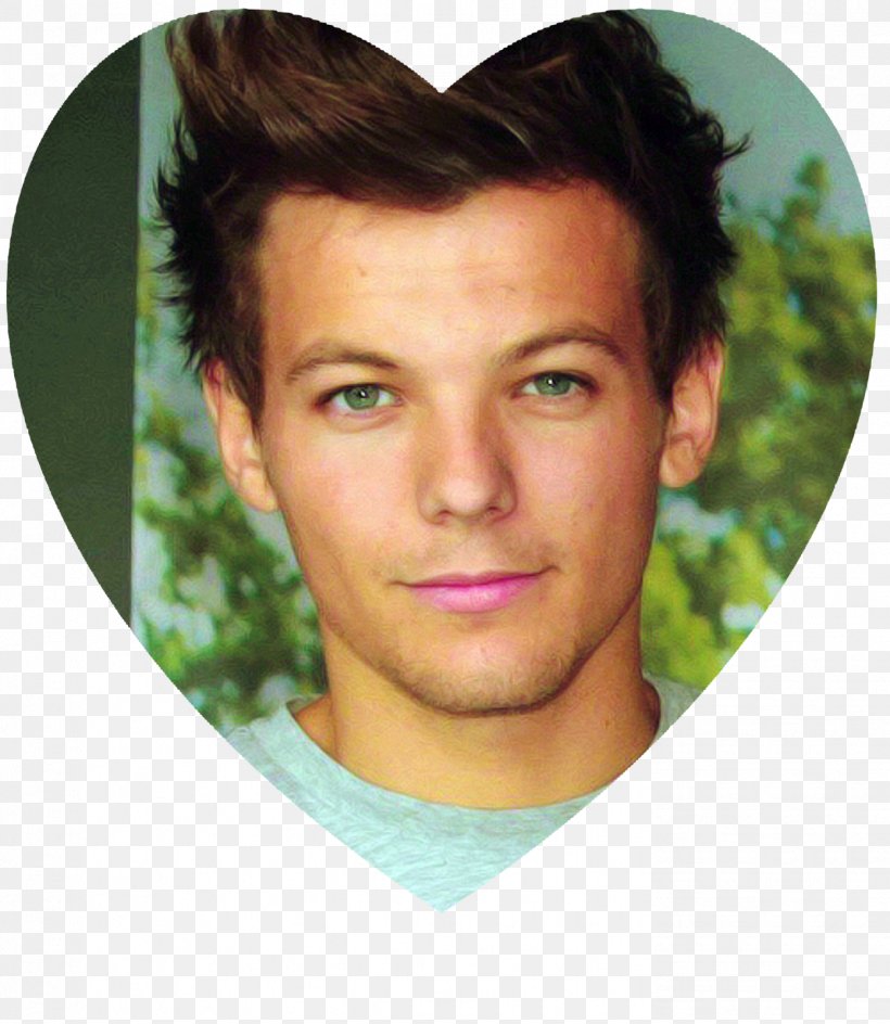 Louis Tomlinson Celebrity One Direction Image Photography, PNG, 1389x1600px, Watercolor, Cartoon, Flower, Frame, Heart Download Free